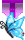 軟體之星